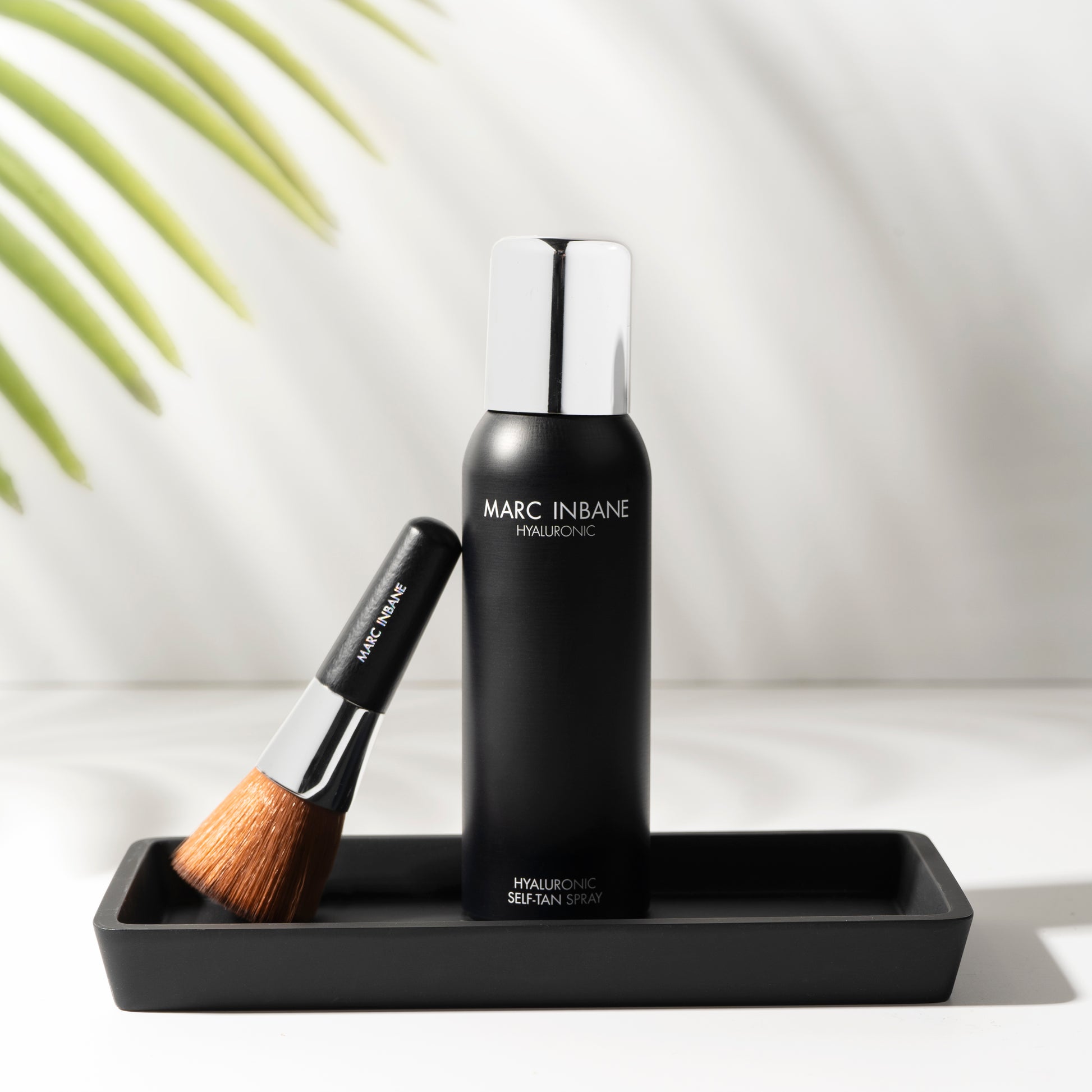 Kabuki Brush